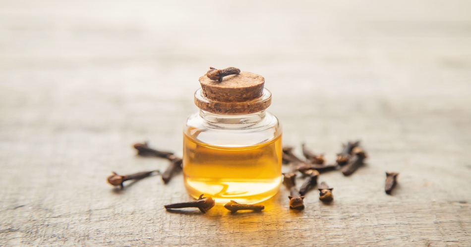 Unlocking the Potential of Cloves : Exploring Clove Leaf Oil, Clove Bud Oil, and Clove Stem Oil